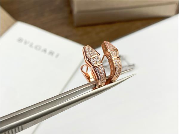 202664222733728 